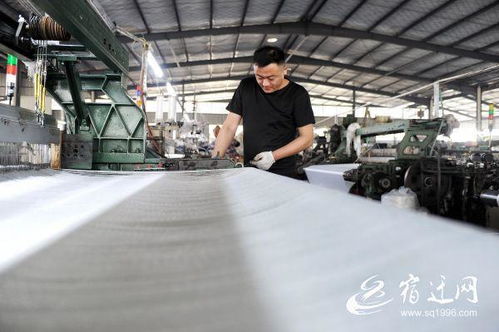 宿遷 家門(mén)口就業(yè)助民增收