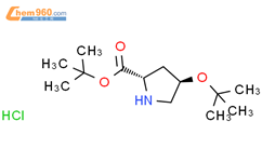 O-叔丁基-L-羥脯氨酸-叔丁酯鹽酸鹽