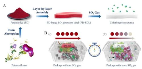 天津科技大學團隊研制so2比色檢測標簽,助力破解微生物侵染食物難題