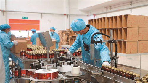 岢嵐 用 千萬工程 經驗繪寫和美